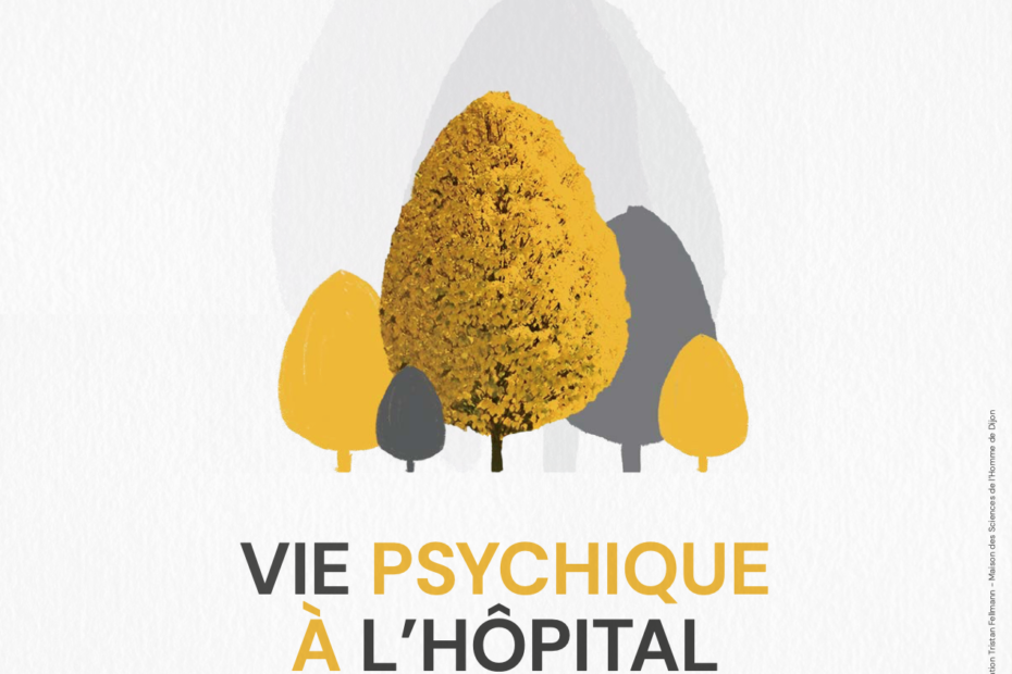 Webinaire « Vie psychique à l’hôpital : quelles cliniques et quelles recherches ? »